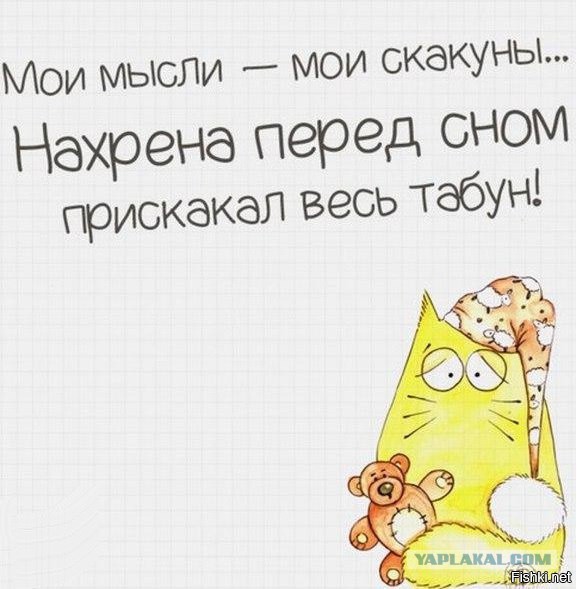 Подборка прикольных и веселых картинок