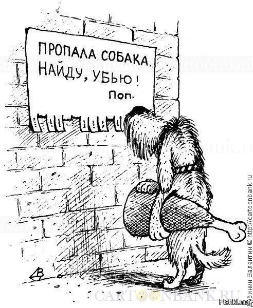 Такое время — страшно за собак