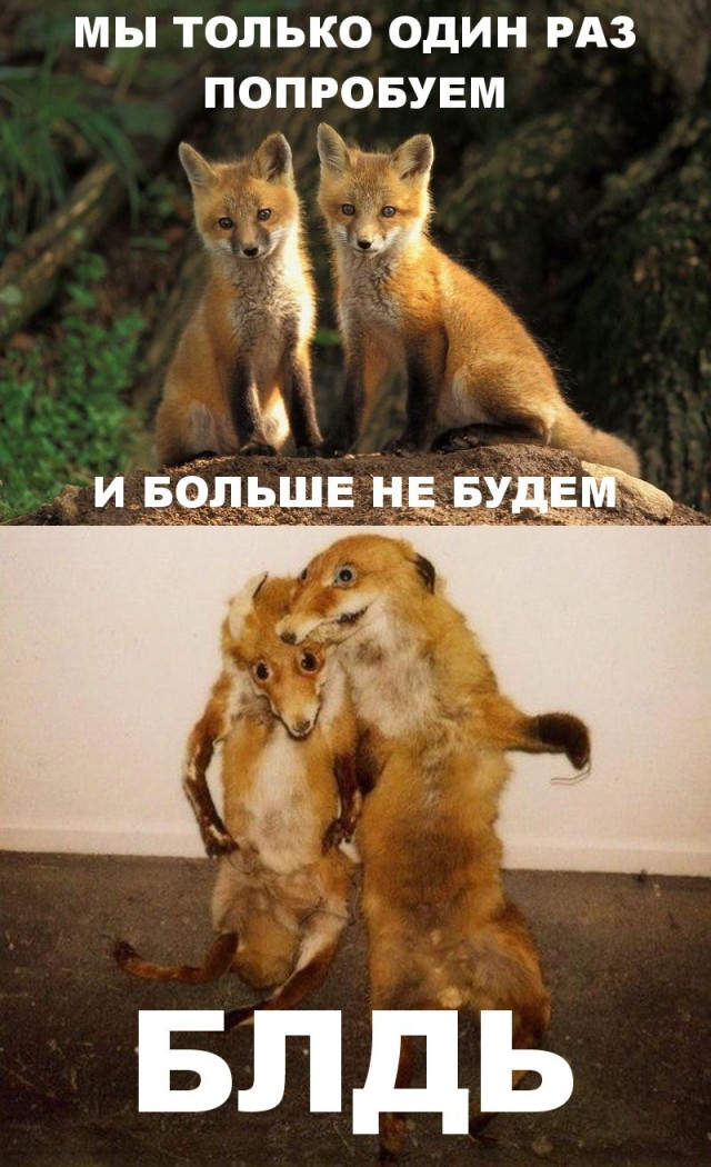 Легкая наркомания одолела внезапно