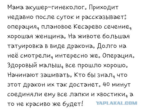 Субботняя порция перлов, высказываний, котоламповых историй