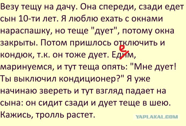 Везу тёщу на дачу. Она спереди, сзади едет сын 10-ти лет...