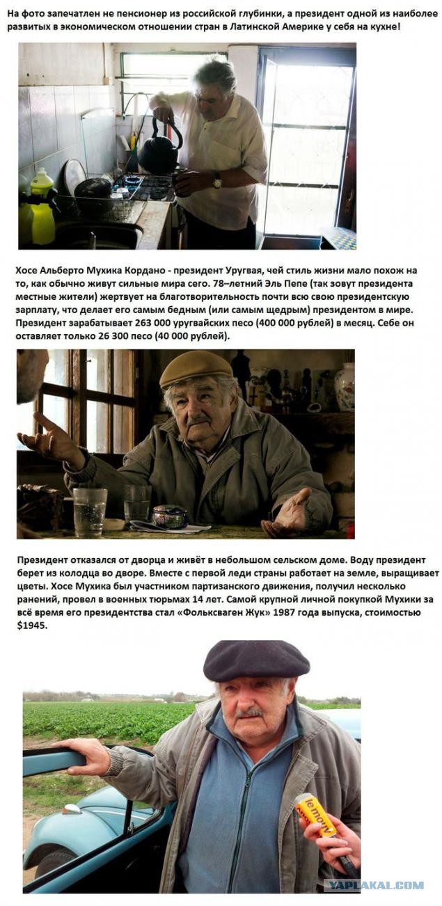 Путин и тарифы