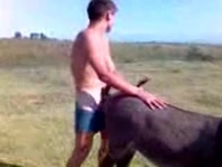 Воспитываю сына негра