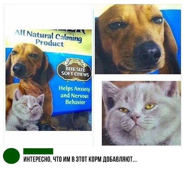 Немного картинок в этот понедельник