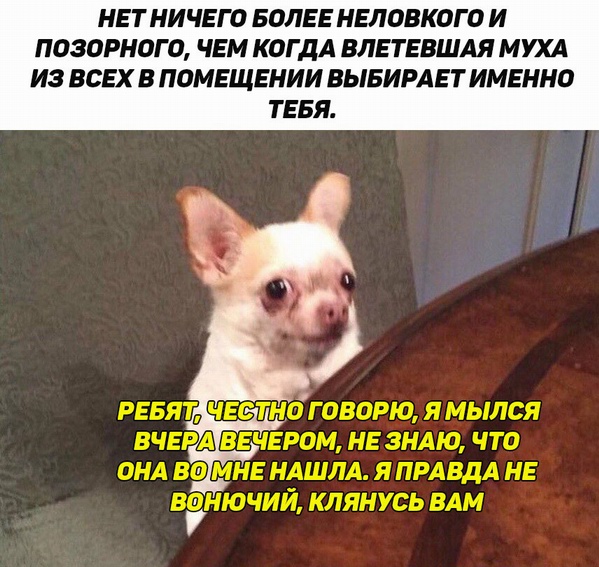 Специфический юмор