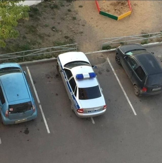 Прикольные картинки абавсём