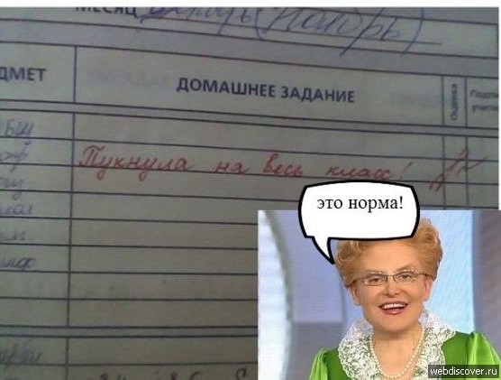 Записи в школьных дневниках и тетрадях