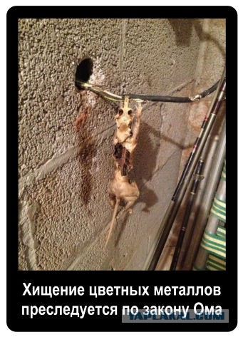 Электрожиза