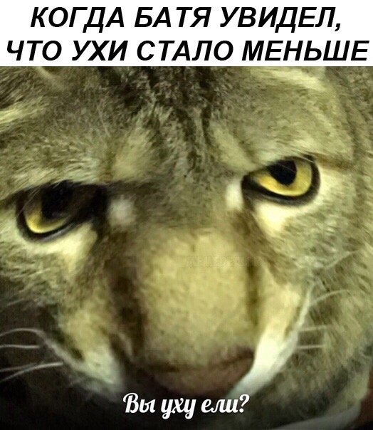 Немного картинок 05.07