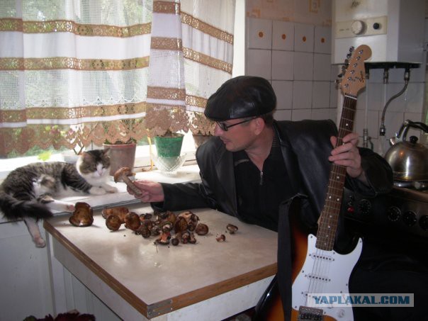 Подарки из леса