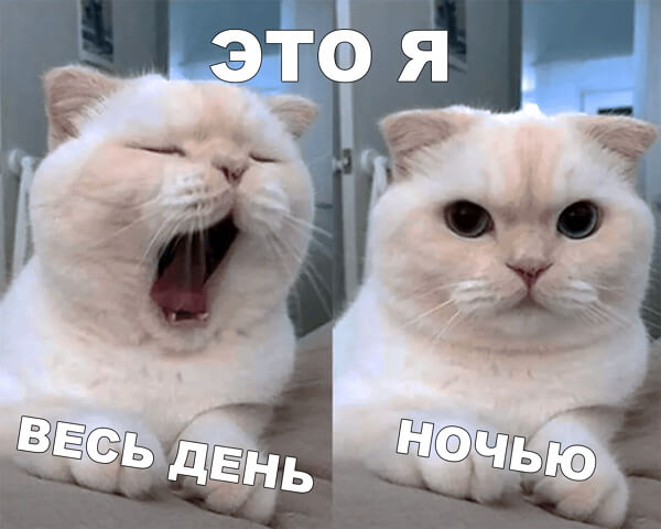 Картинки всякие 17.09.2019