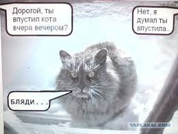Зима уже пришла
