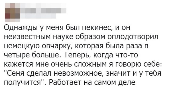 Бредзона 26.10.19