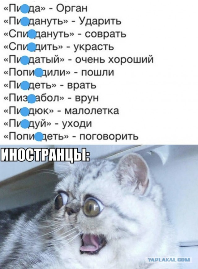 Русский язык может свести с ума даже тех, кто знает его с рождения