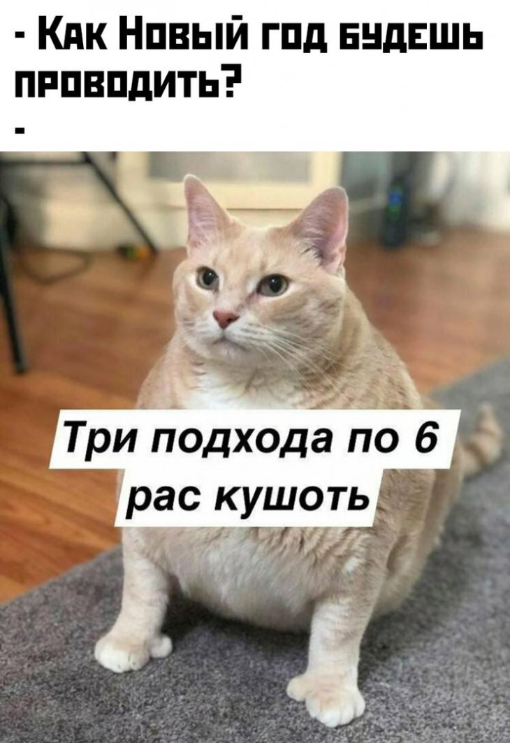 Новогодний Стол Мемы