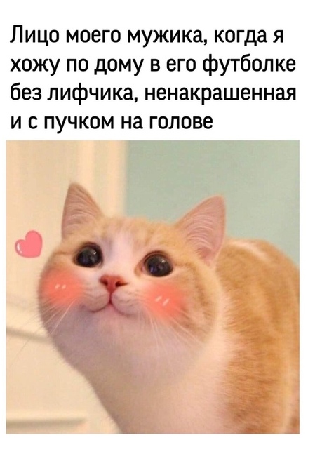 Я тебя хочу