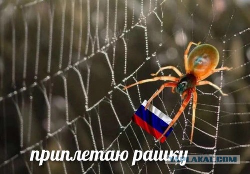 Тренировка артиста из Cirque du Soleil