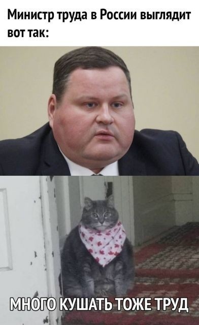 Министр труда