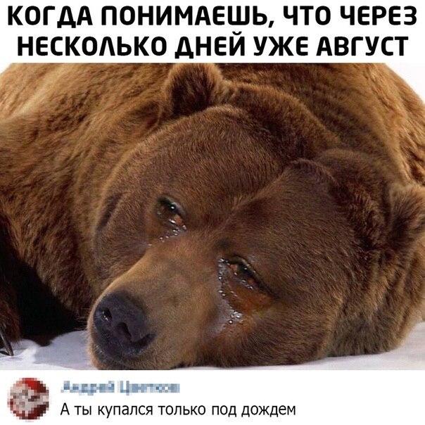 Не доехали до Сочи