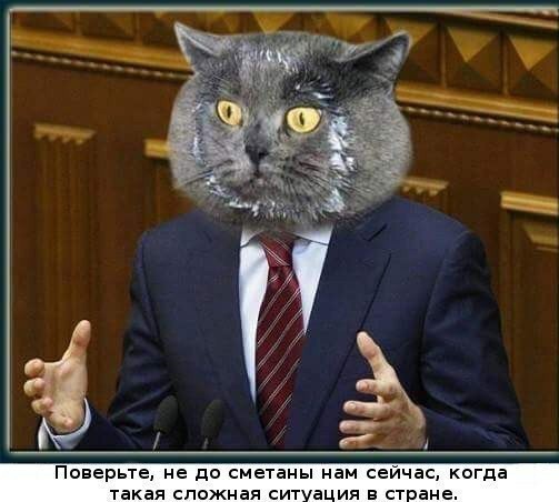 Бредзона 28.12.20