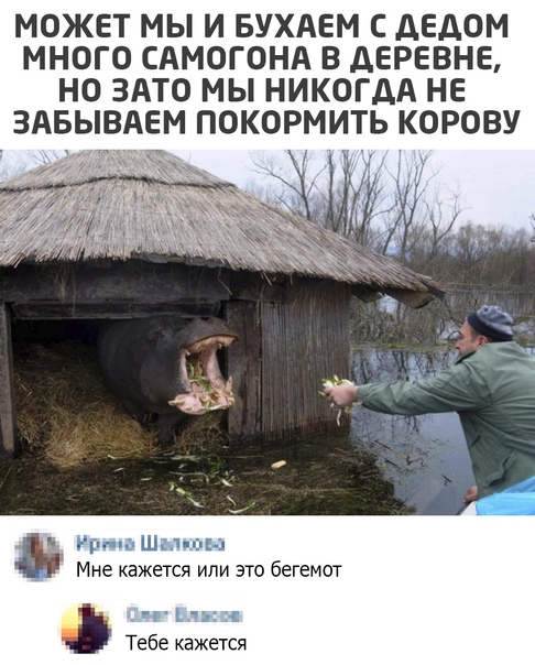 Разные картинки 01.02.2021