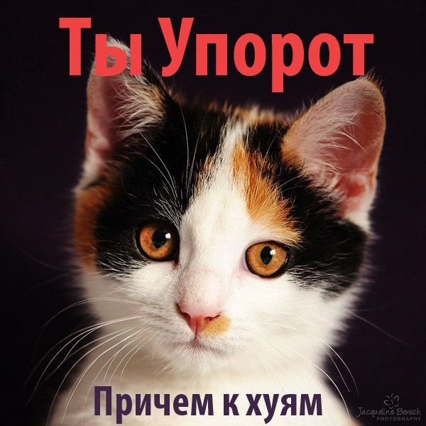 Дебил в магазине !