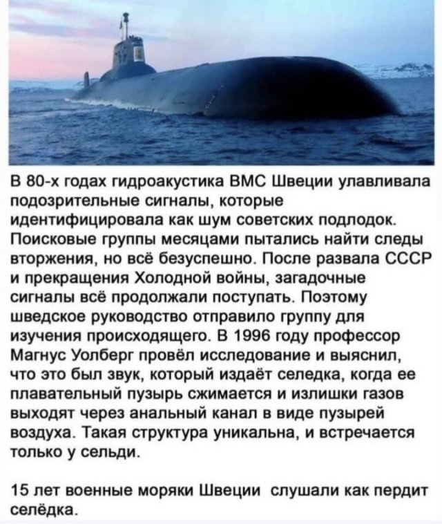 Картинки и мемы для настроения 13.04.2021