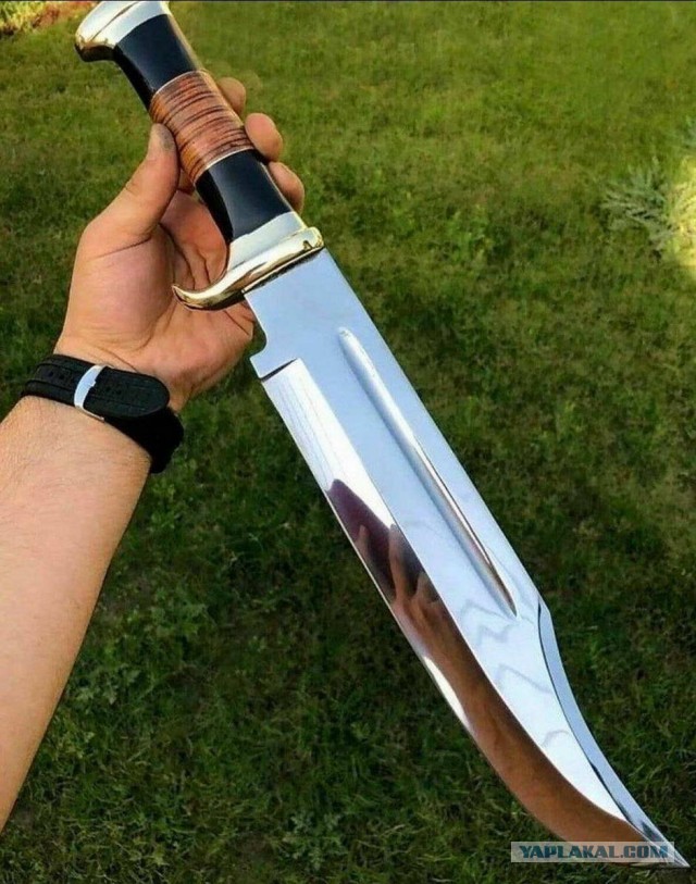 Некоторые думают "А почему бы мне не завести себе ручного удава?"