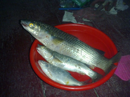 Рыбалка в Тульской области