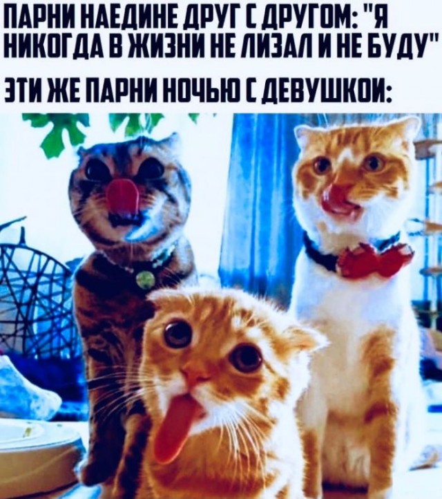 Пятница. И немного слегка пошлых картинок с надписями и без (03.09)