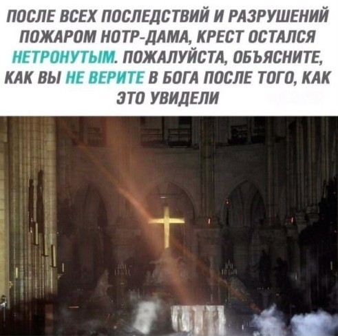Фотки и картинки с текстом: юморные и красивые, забавные и милые 17.1121