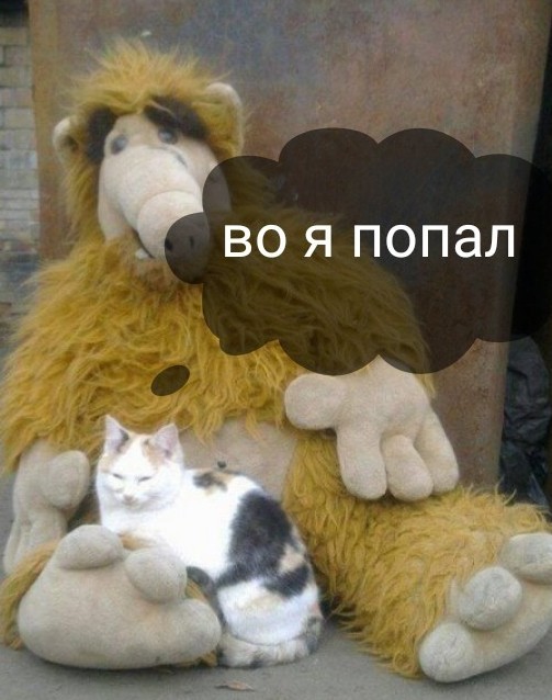 Утренняя подборка картинок и мемов - 2