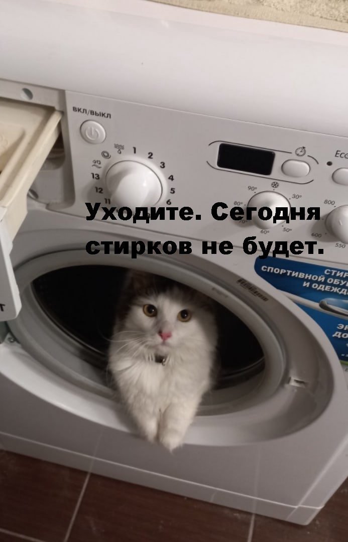 16785705.jpg