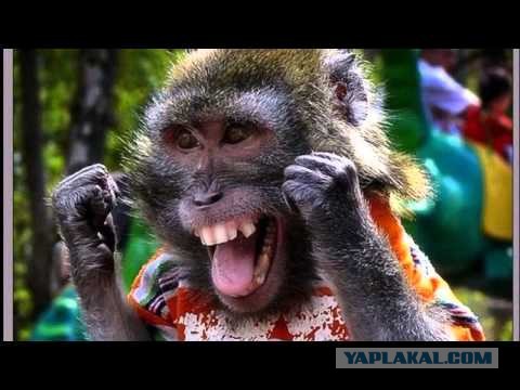 9 невероятных фактов о гравитации, о которых не рассказывали в школе