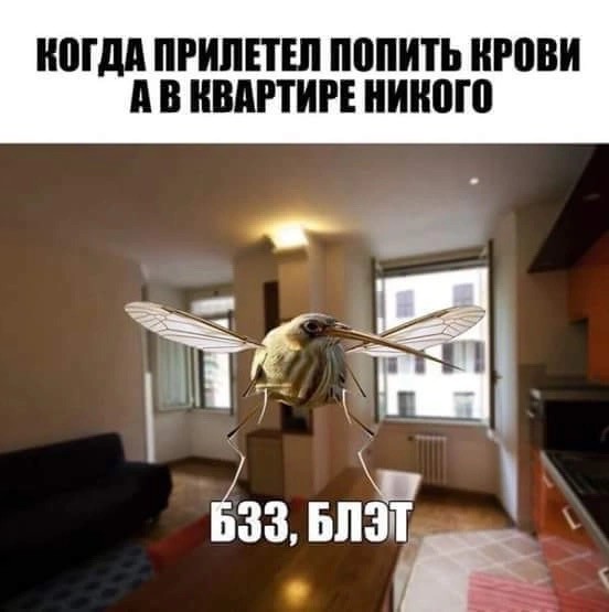 Мой сборник баянов