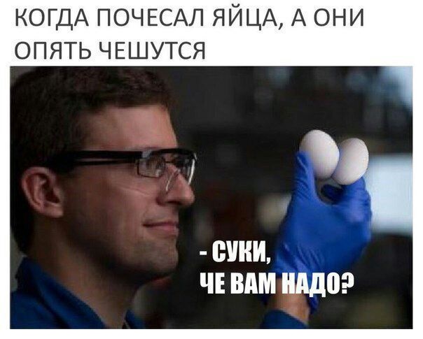 Чёрно-пошлый вторник