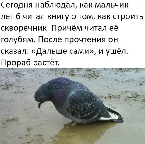 Я для тебя слишком взрослая...