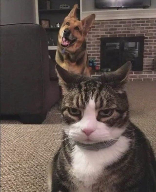 Подборка интересных и прикольных фото из Сети 01.04.23