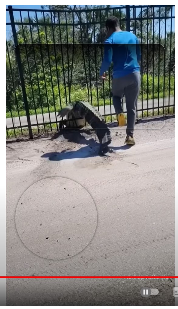 Забор не преграда