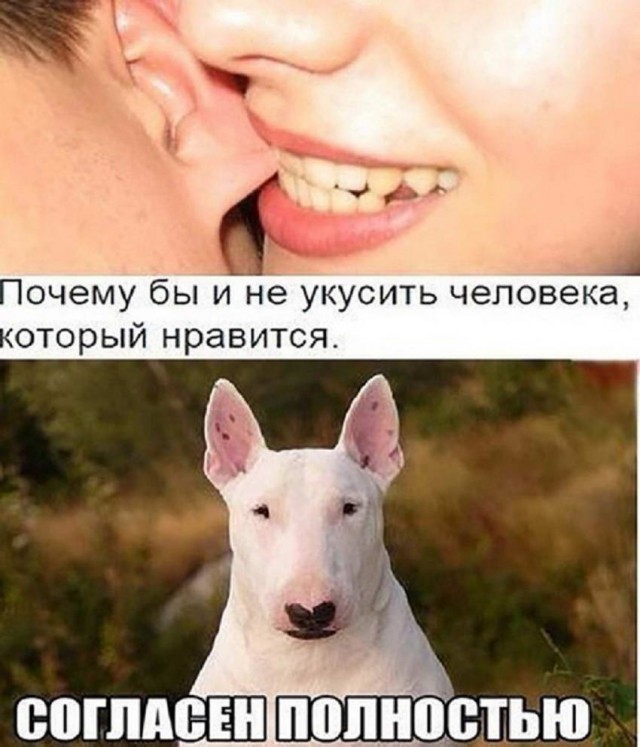 Немного картинок для настроения - 161