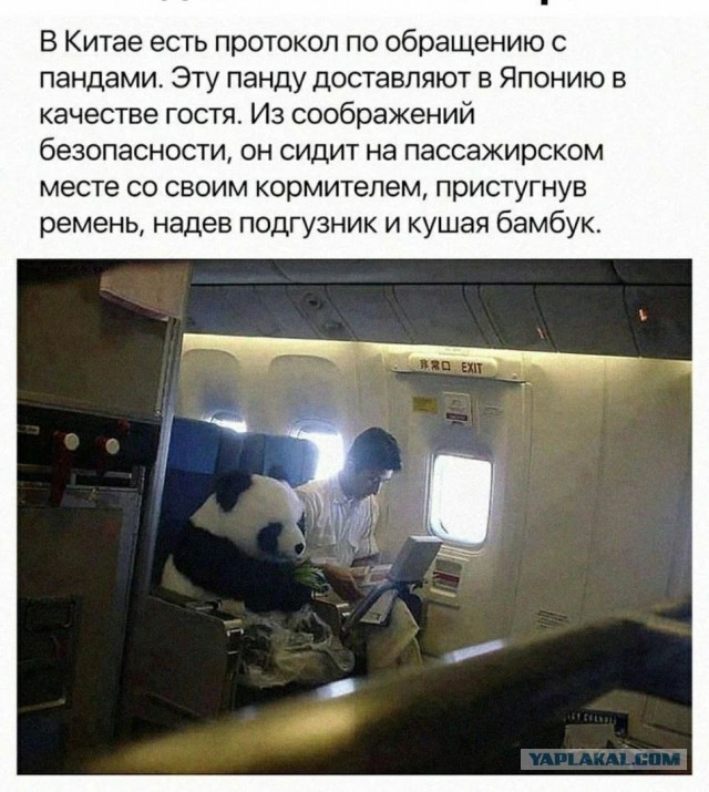 Так себе картинки 11.04.23