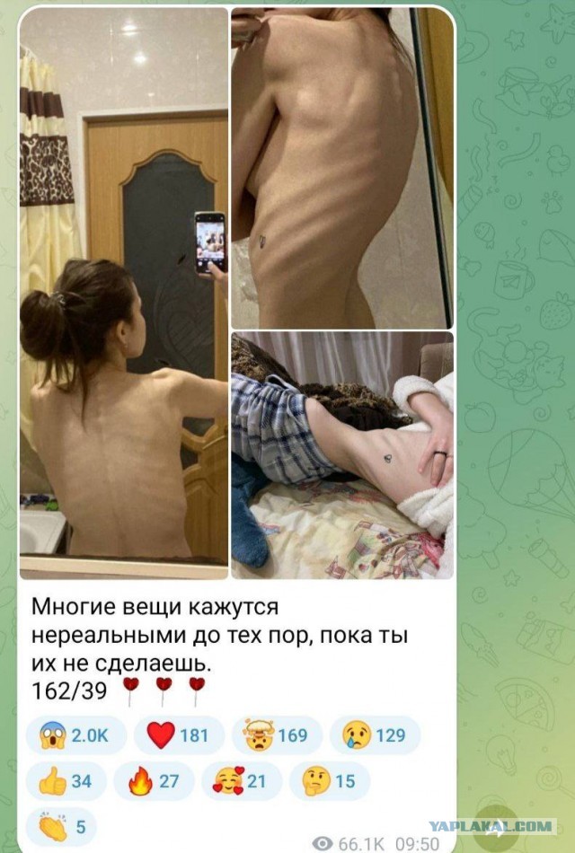 Ой, жируха, худеть тебе надо!