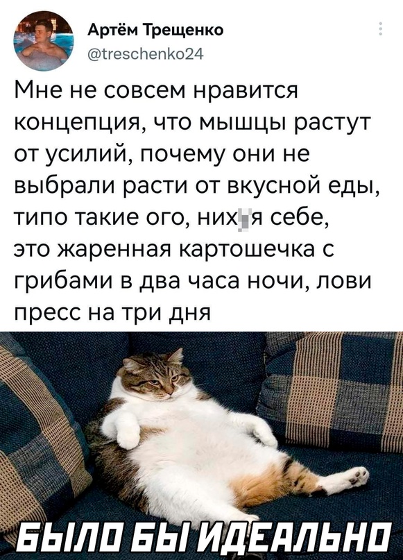 Весёлый полтишок 03.09.23
