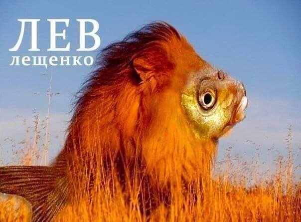Пойман, но не сломлен