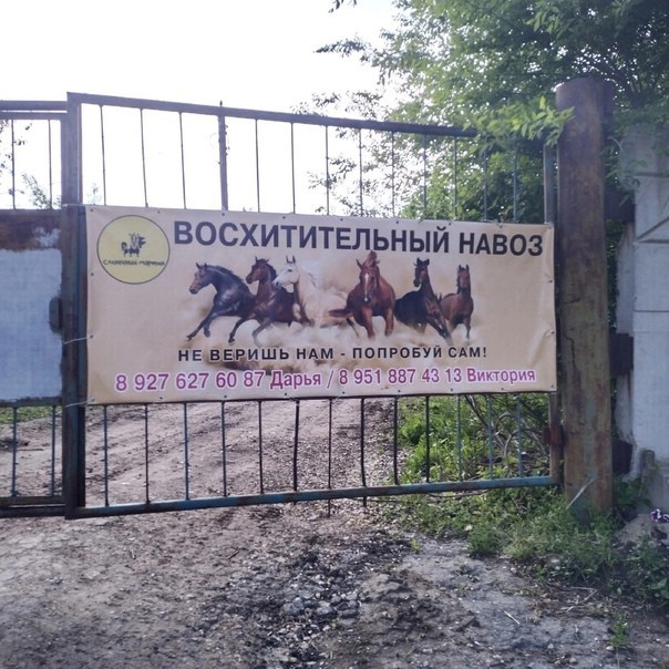 Всего понемногу. От 07.04.2024