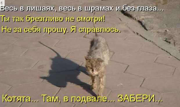 БаянЫ 2