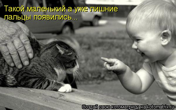 Не шутите с котом