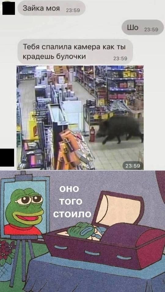 Так себе картинки 20.05.25