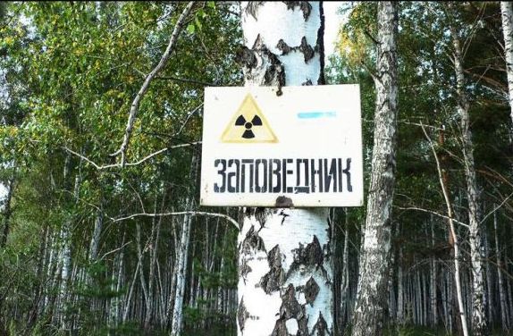 Большая подборка баянов разной степени свежести