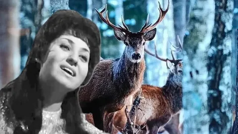 Перспектива отношений с женщиной с тремя детьми